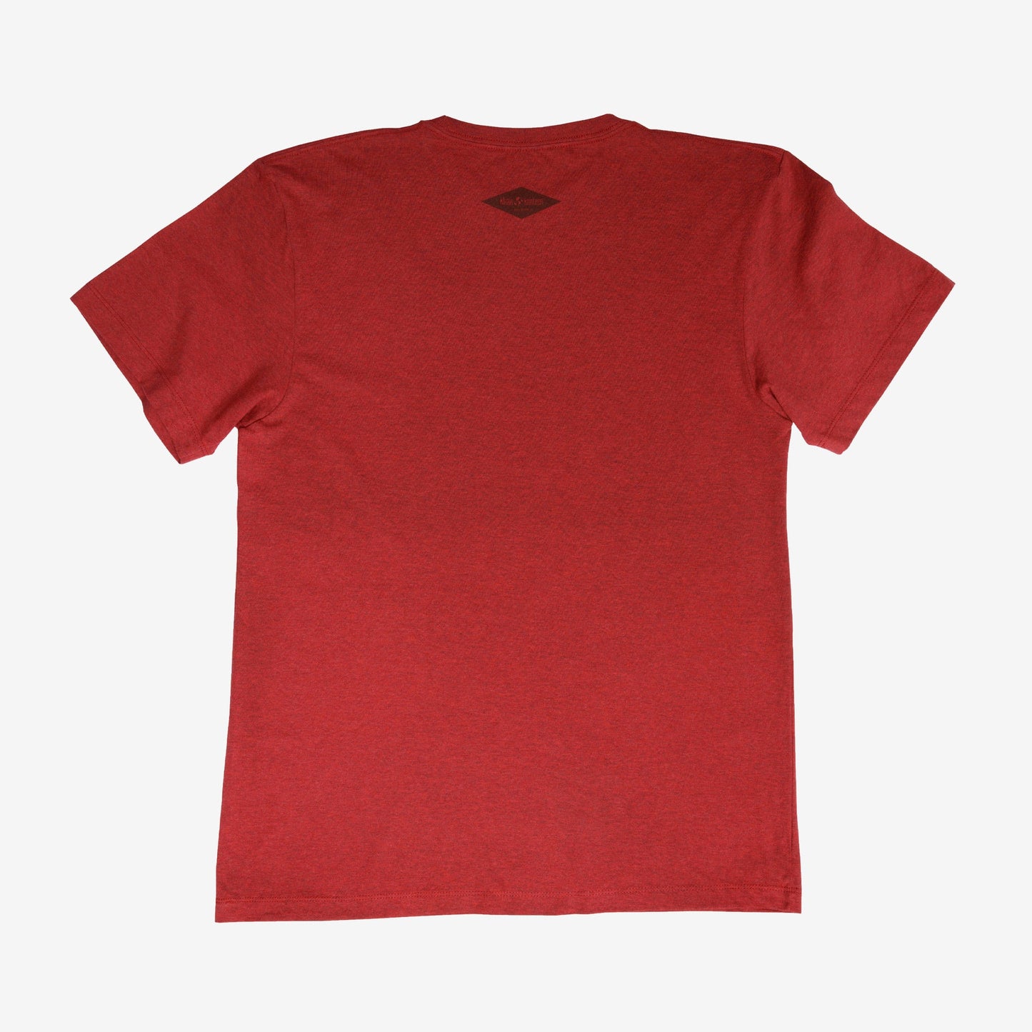 backyard-t-shirt-o6 Shirt_Mtn_Back.jpg