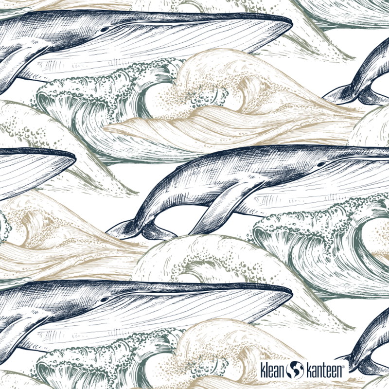 20oz-tkwide-with-twist-cap-ocean-day-r3 20oz_tkwide_bottle_seasonal_ocean_day_whale_artwork_square.png
