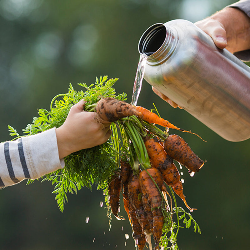 64oz-wide-with-loop-cap-v1 64oz_wide_mouth_bottle_carrots_rinse_square.jpg